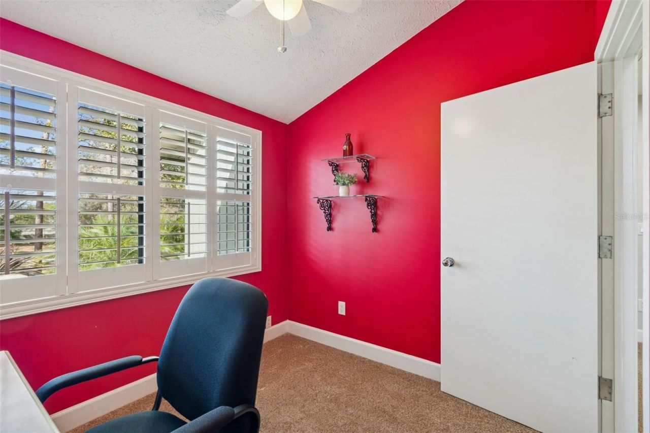 3812 Little Road, Lutz, FL 33548 Photo