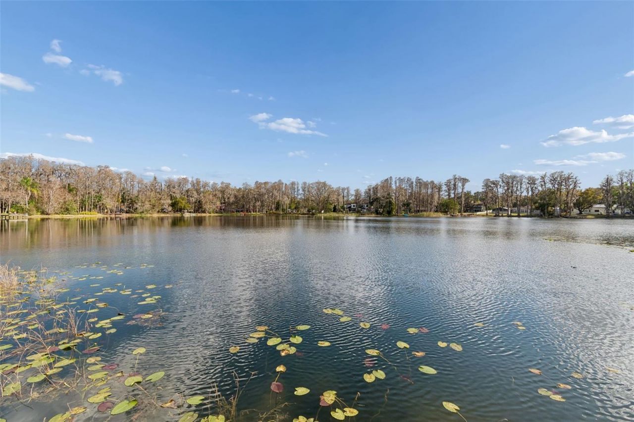 3812 Little Road, Lutz, FL 33548 Photo