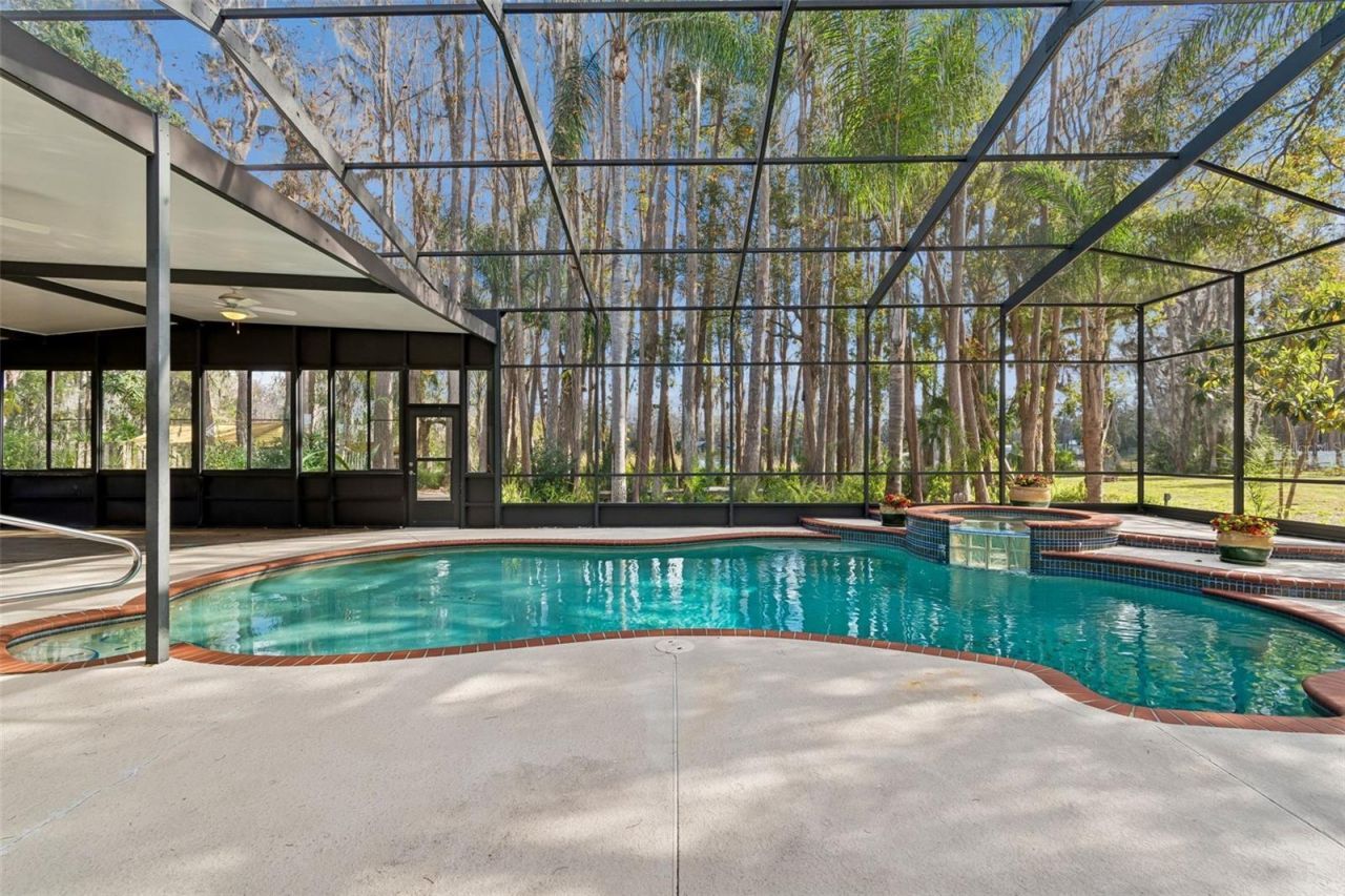 3812 Little Road, Lutz, FL 33548 Photo