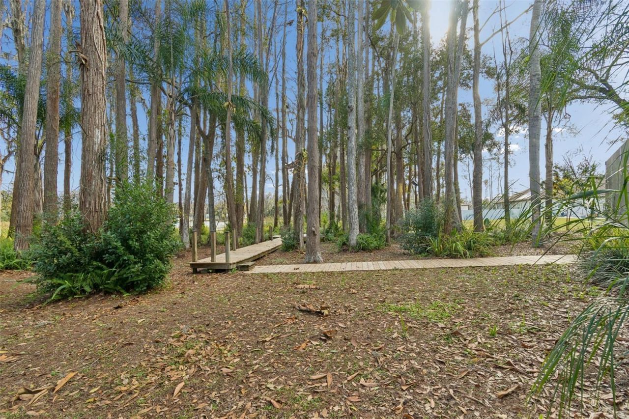 3812 Little Road, Lutz, FL 33548 Photo