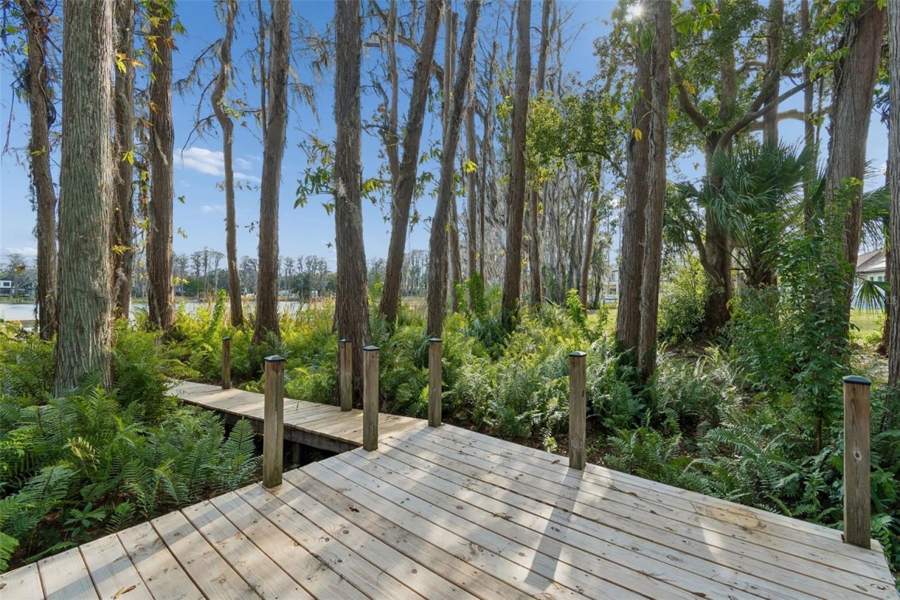 3812 Little Road, Lutz, FL 33548 Photo