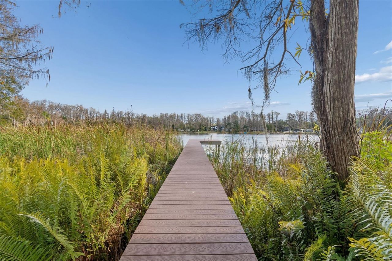 3812 Little Road, Lutz, FL 33548 Photo