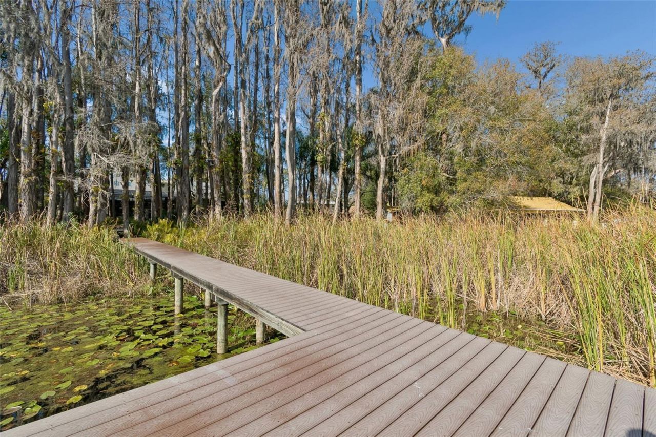 3812 Little Road, Lutz, FL 33548 Photo