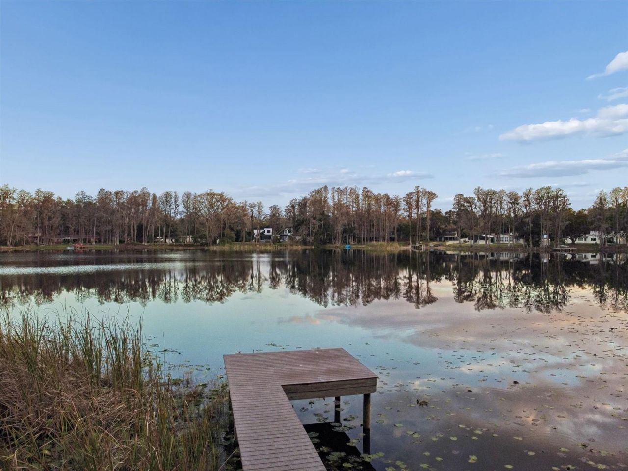 3812 Little Road, Lutz, FL 33548 Photo