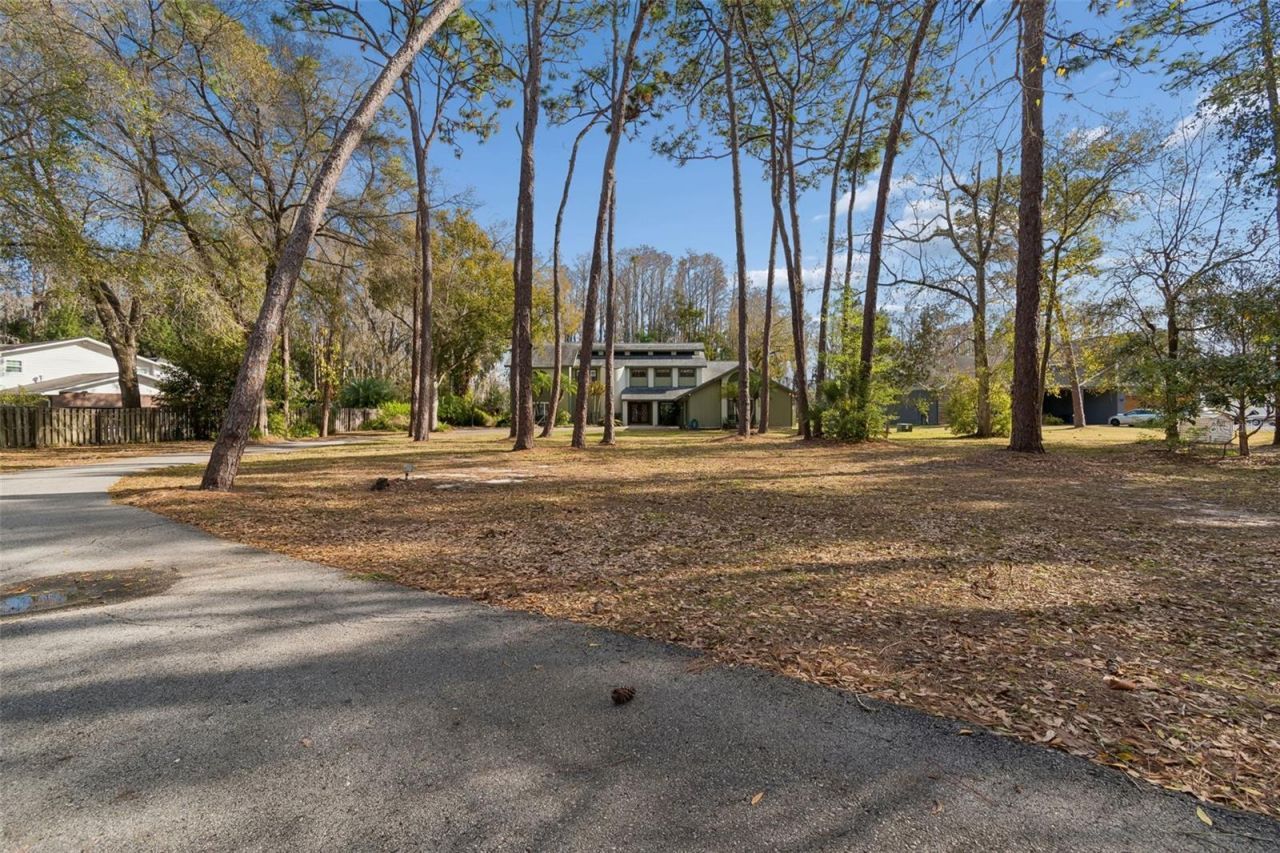 3812 Little Road, Lutz, FL 33548 Photo