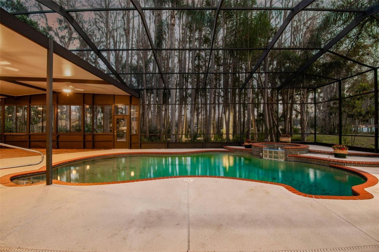 3812 Little Road, Lutz, FL 33548 Photo