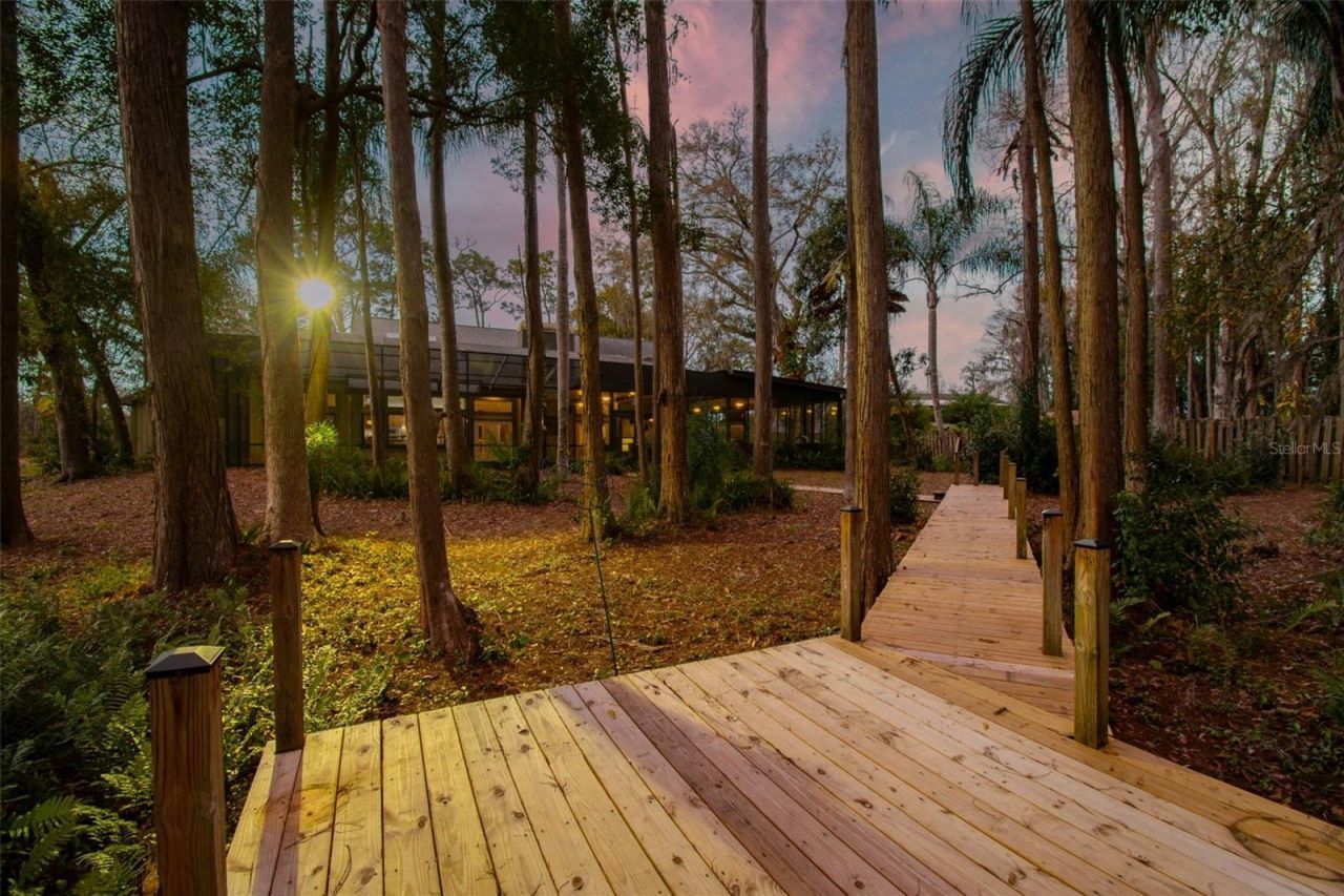 3812 Little Road, Lutz, FL 33548 Photo