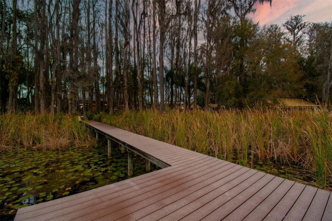 3812 Little Road, Lutz, FL 33548 Photo