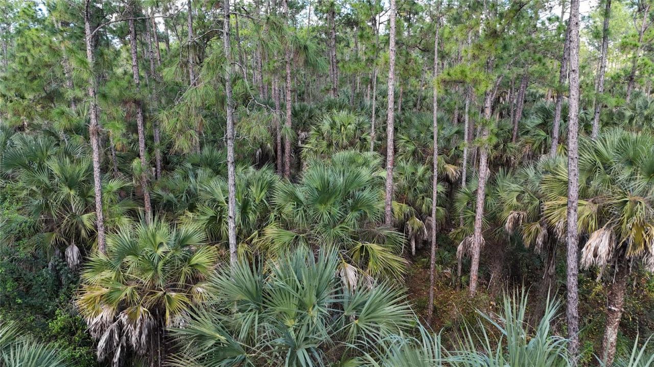 16th Ave Se, Naples, FL 34117 Photo