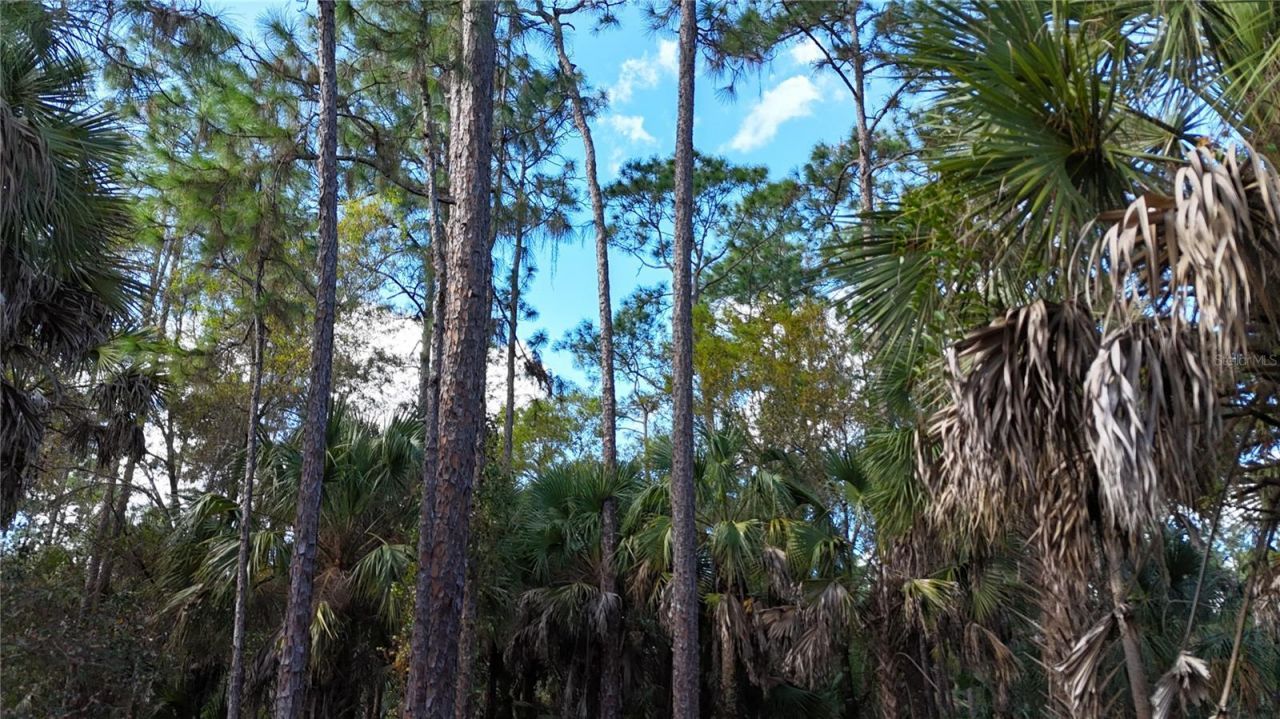 16th Ave Se, Naples, FL 34117 Photo
