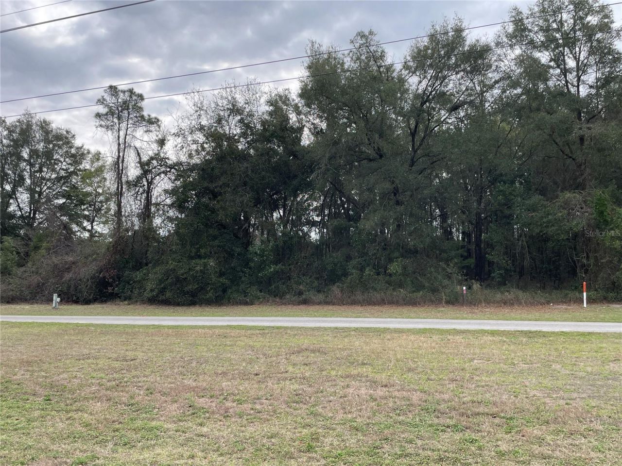 8717 SW Archer Road, Gainesville, FL 32608 Photo