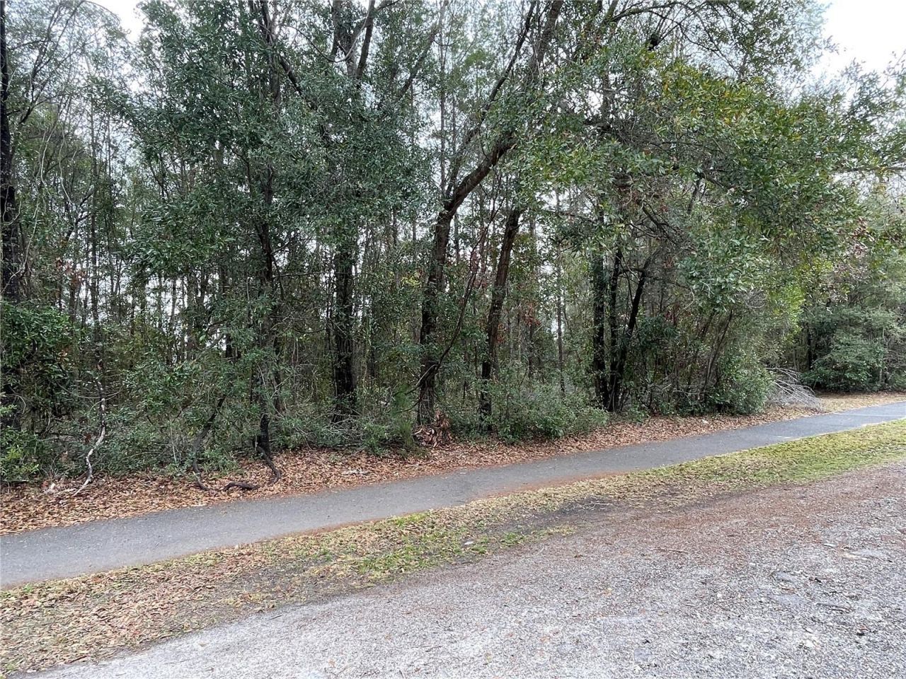 8717 SW Archer Road, Gainesville, FL 32608 Photo