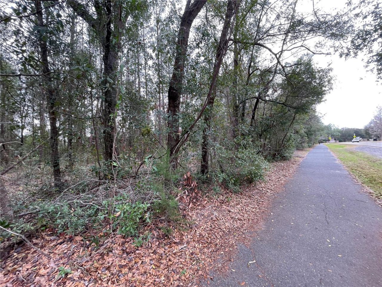 8717 SW Archer Road, Gainesville, FL 32608 Photo