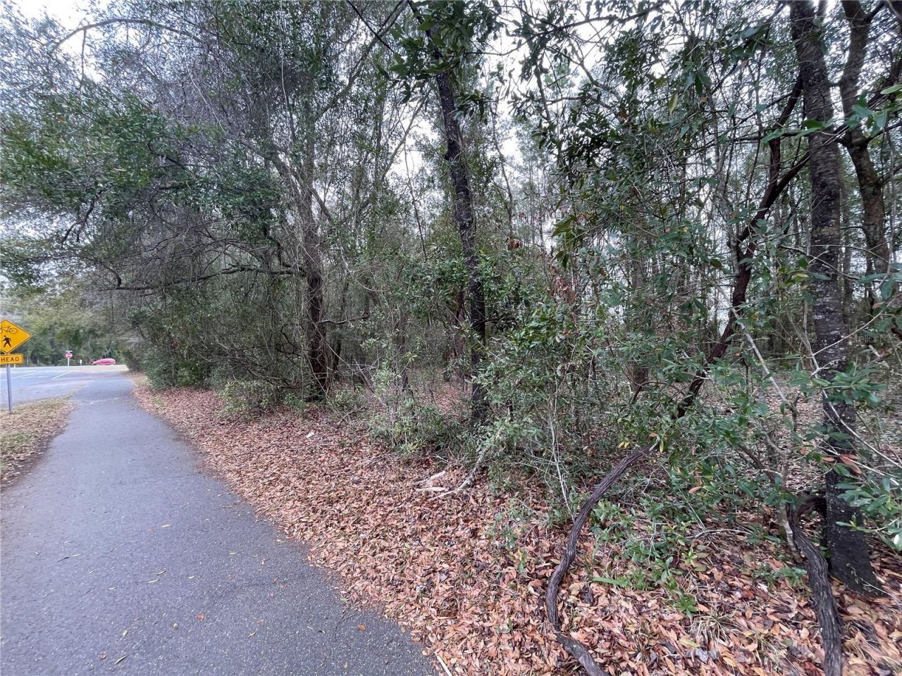 8717 SW Archer Road, Gainesville, FL 32608 Photo