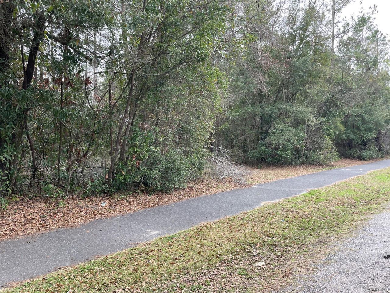 8717 SW Archer Road, Gainesville, FL 32608 Photo