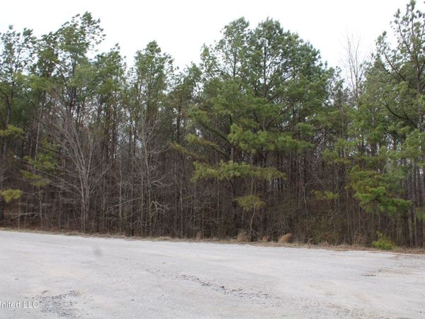 30 American Cove, Byhalia, MS 38611