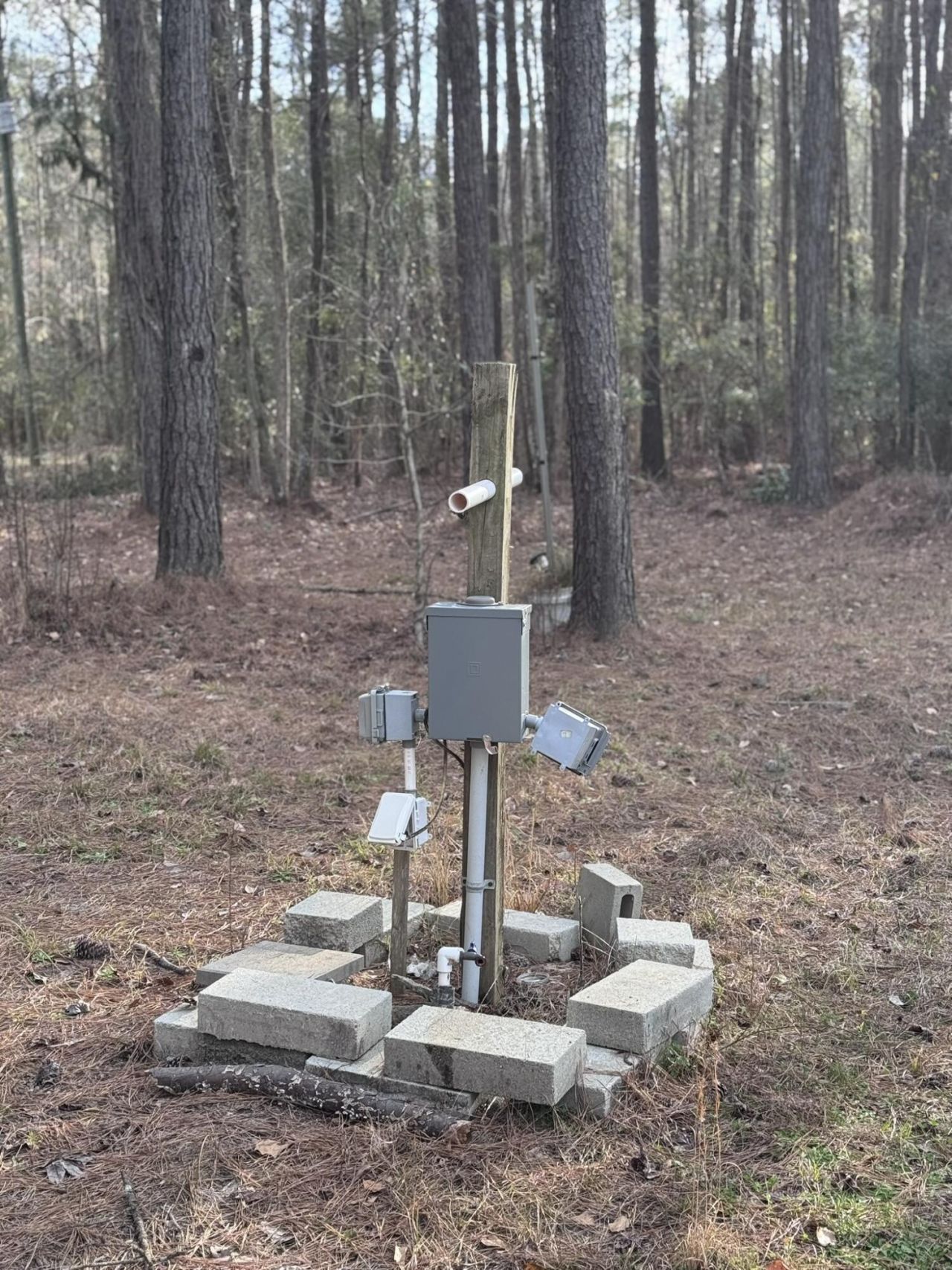 536 Bertha Lane Photo 11