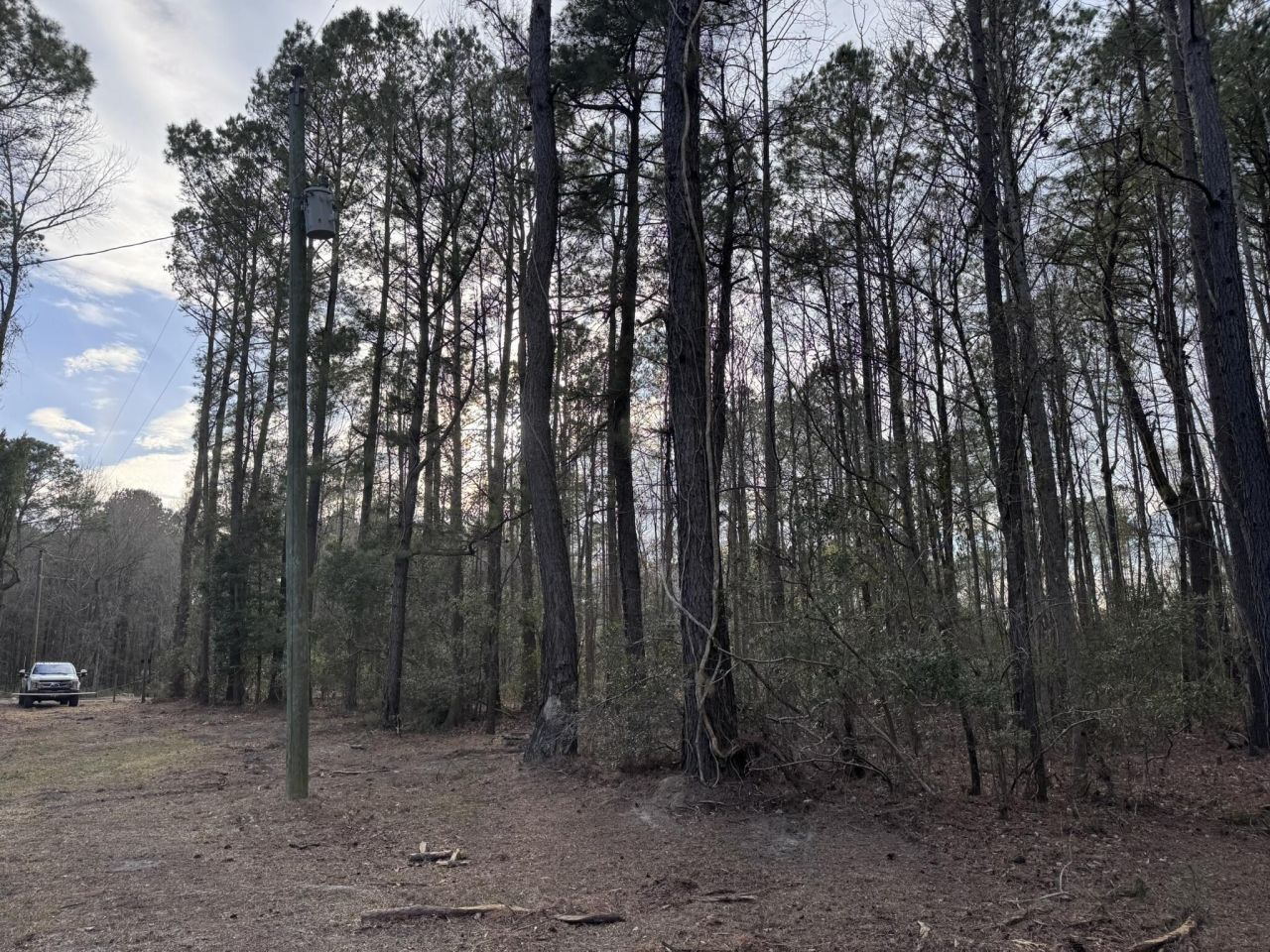 536 Bertha Lane Photo 15