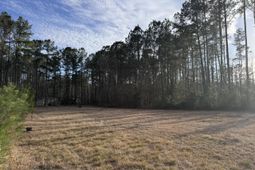 536 Bertha Lane photo 4