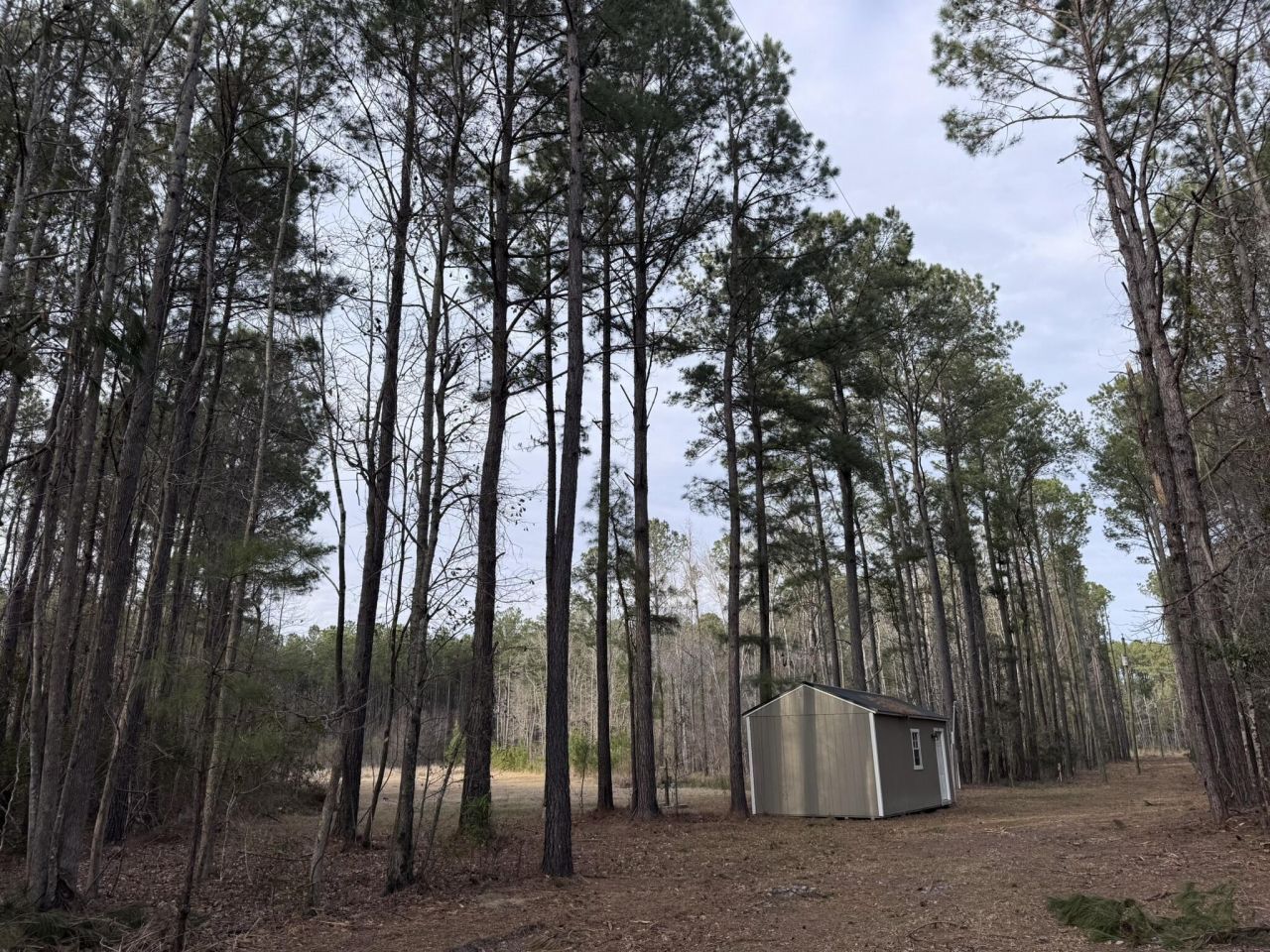 536 Bertha Lane Photo 4