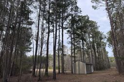 536 Bertha Lane photo 4