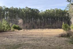 536 Bertha Lane photo 4