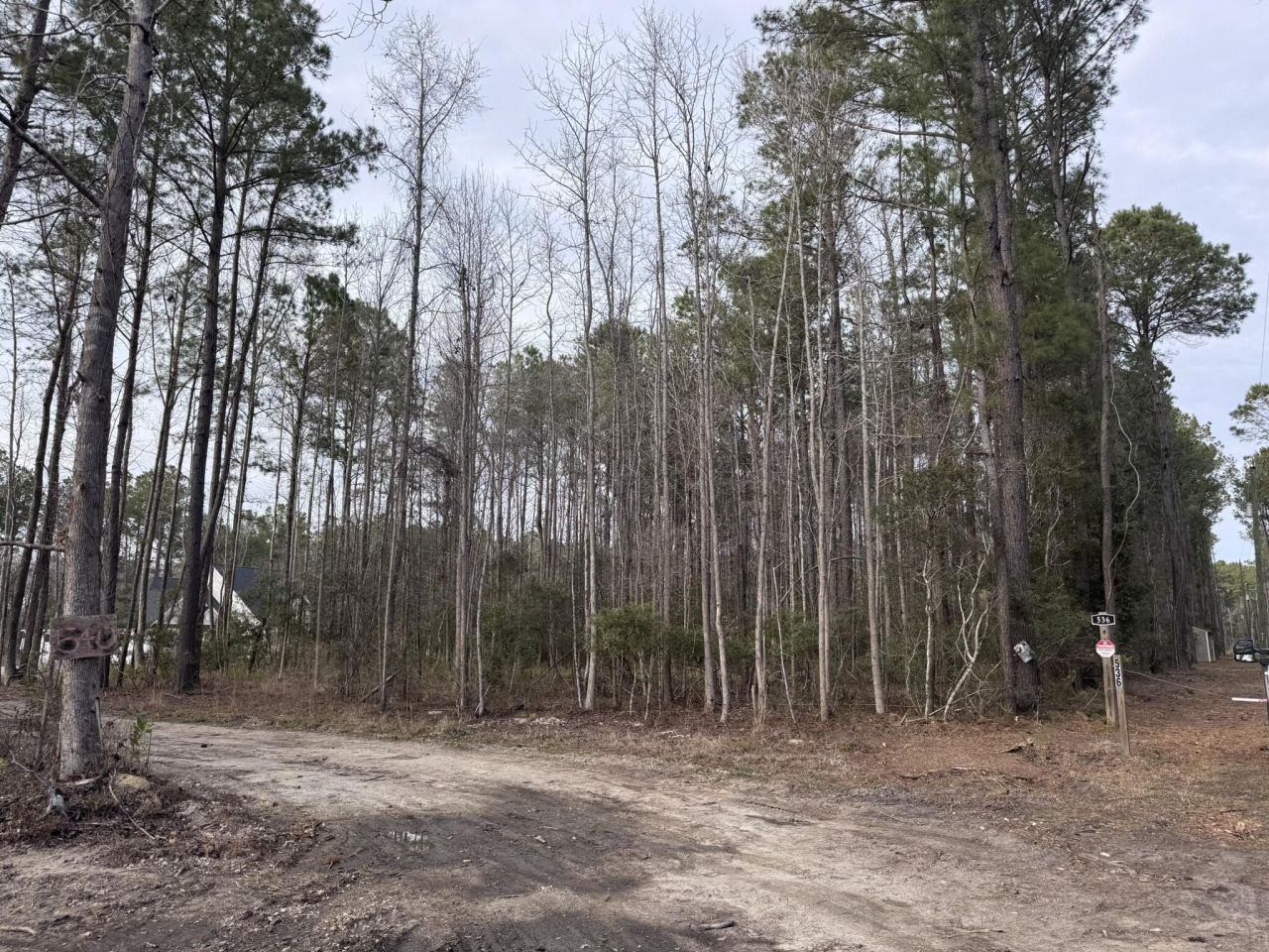 536 Bertha Lane Photo 6