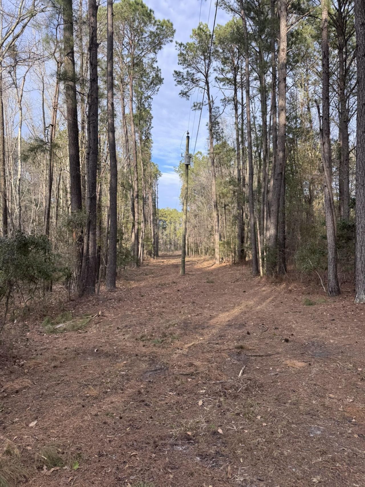 536 Bertha Lane Photo 9