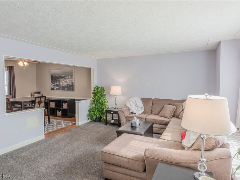 920 Howard Street, Elyria, OH 44035 Photo 2