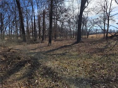 Lot 2 NW County Rd 17402 N/A, Archie, MO 64725