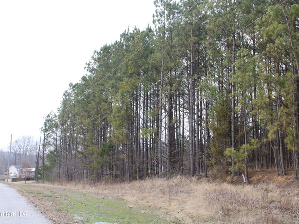 31 American Cove, Byhalia, MS 38611