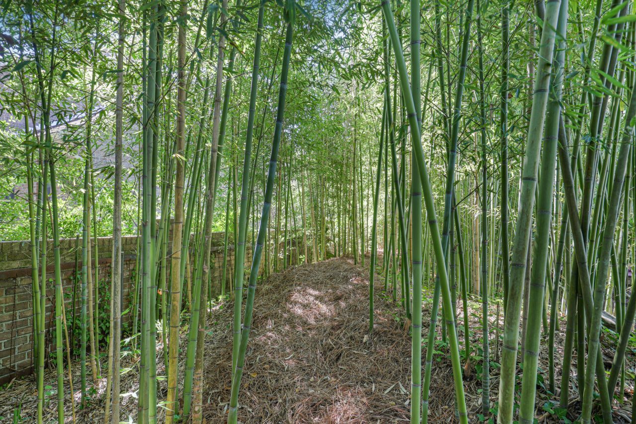 901 Red Coat Run Photo 71