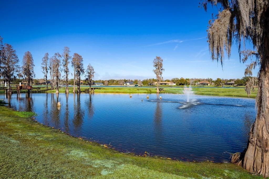 17933 Patterson Road, Odessa, FL 33556 Photo