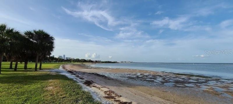 2502 Tropical Shores Drive Se, Saint Petersburg, FL 33705 Photo