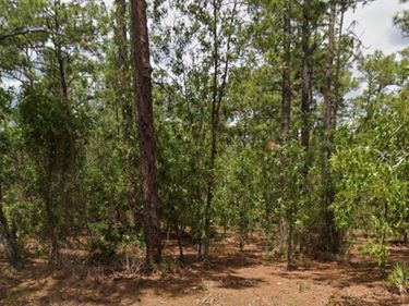 5375 W COMSTOCK PLACE, BEVERLY HILLS, FL 34465