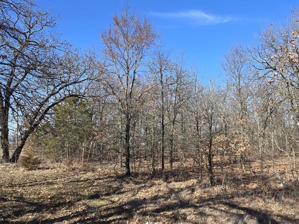 S 650 and E 170rd Road , Wyandotte, OK 74370