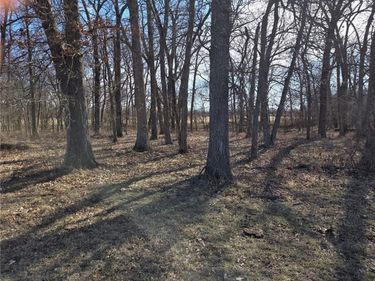 Lot 3 NW County Road 17402 N/A, Archie, MO 64725