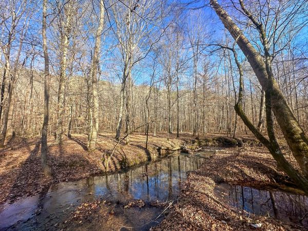 0 Indian Creek Rd , Hohenwald, TN 38462