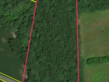 2450R379 Providence Road, STEVENSVILLE, VA 23161