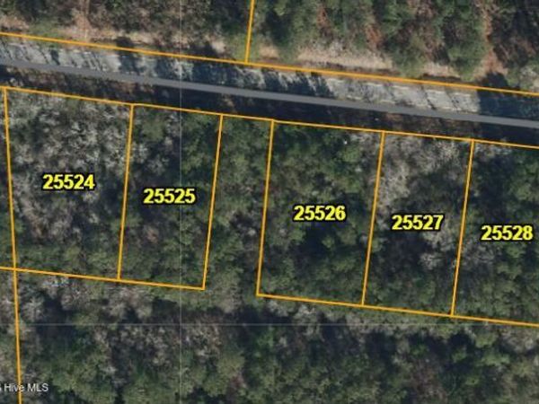 Lot 4 Lightwood Knot Road, Deep Run, NC 28525