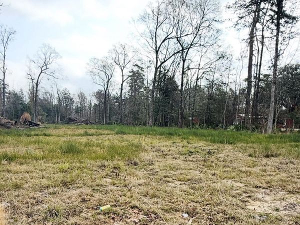 29490 Red Oak Dr, Walker, LA 70785