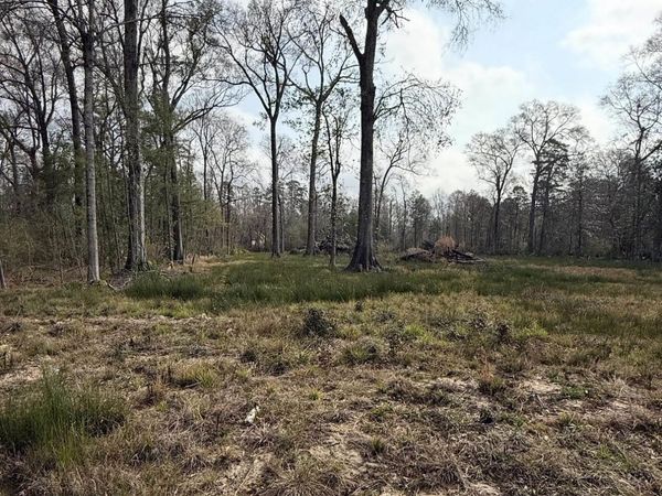 29386 Red Oak Dr, Walker, LA 70785