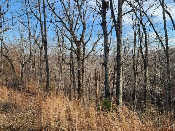 000 Marina Ridge, Holladay, TN 38341