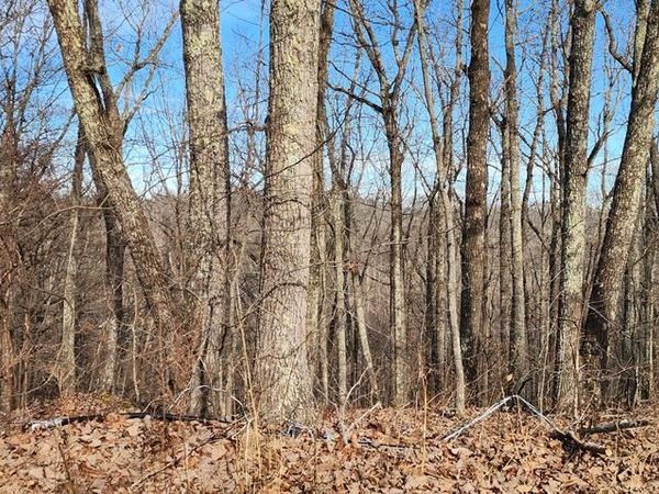 000 Country Club Ln, Holladay, TN 38341