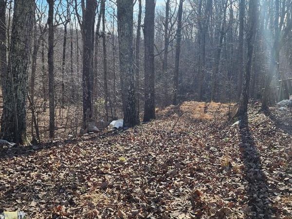 000 Marina Ridge Rd, Holladay, TN 38341