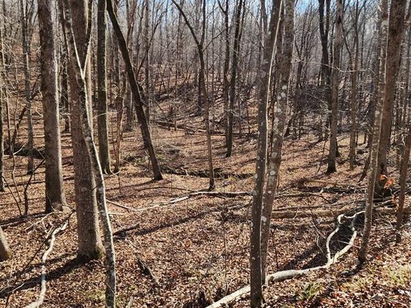 id18 Shady Grove, Holladay, TN 38341