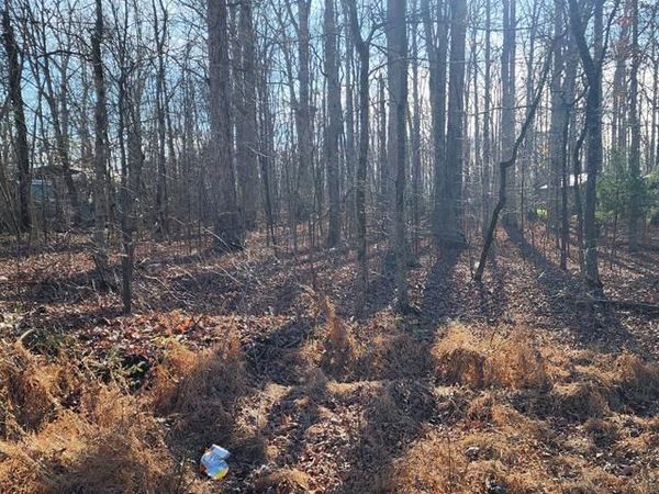 000 Sunset Dr, Holladay, TN 38341