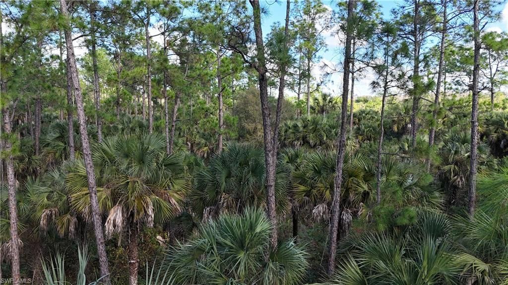 Please Call For Address, Naples, FL 34117 Photo