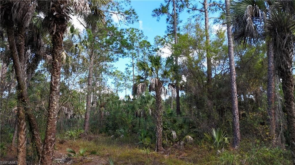Please Call For Address, Naples, FL 34117 Photo