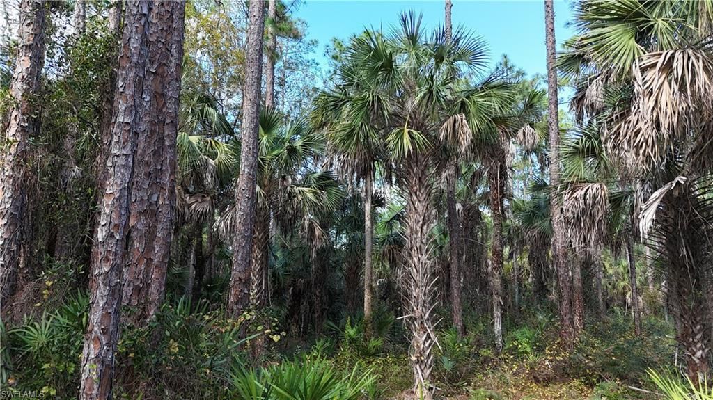 Please Call For Address, Naples, FL 34117 Photo